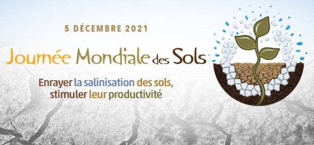 Journée Mondiale des sols le 5 décembre, ONU, FAO